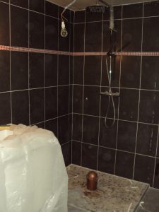 malfaçons sur la construction d'une douche, contre expertise par ACTE