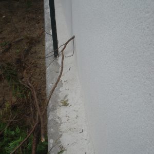 limite separative 10cm 300x300