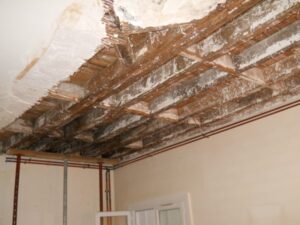 Problème de mérules sur le placher bois d'une maison parisienne. Expertise par ACTE groupe ouest expertise